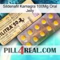 Sildenafil Kamagra 100Mg Oral Jelly new06